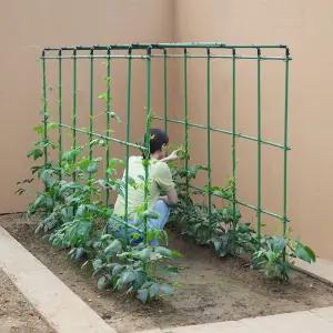 애플수박 지지대 포도나무지지대 식물 호박 조선오이