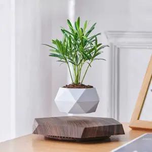 무중력 화분 공중 부양 호텔 부상 특이한 공중부양 집들이