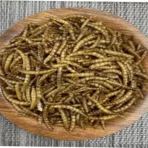 스텐장난감 열풍건조 밀웜 소동물/새/햄스터사료 20gx16개