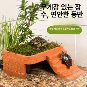 거북이 쉼터 놀이터 테라스 어항 일광욕 사육장