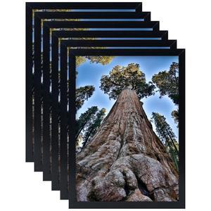 YYTRABAJO 8x12 그림 프레임 6개 디스플레이 세트 블랙 포토