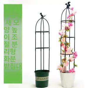 1 1 오벨리스크 식물 화단 아치 펜스 정원