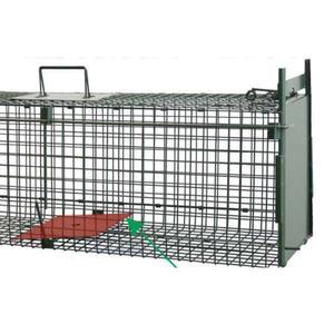 길 고양이 덫 유기건 유해동물 뉴트리아 트랩 유인망 구조 새끼