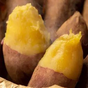 태안 베니하루카 고구마 특대 300-500g 내외 10kg