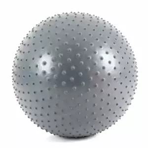 짐볼 (실버) 마사지짐볼 65cm 마사지볼 아이워너