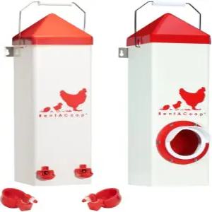 렌타쿱 트윈컵 치킨 급수기 및 피더 세트 - 10파운드/2갤런