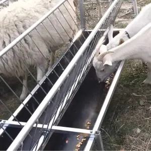 동물 여물통 송아지 농장 염소 가축 돼지 먹이통 사료통