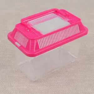 투명곤충채집통 미니