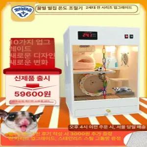 하늘다람쥐 테라리움장 케이지 집 사육장 놀이터 몽땅