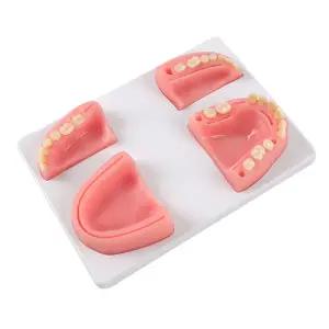 치과 키트 연습 모델 실습 봉합 실리콘 교육 잇몸
