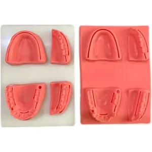 잇몸 연습 실리콘 봉합 치대생 실습 훈련 구강 치아모형 모델 치과