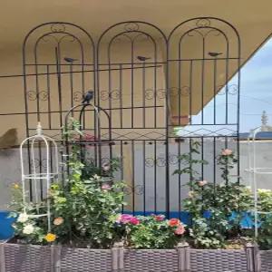 장미울타리 넝쿨 지지대 카페 철제 아치형 안뜰 지주대
