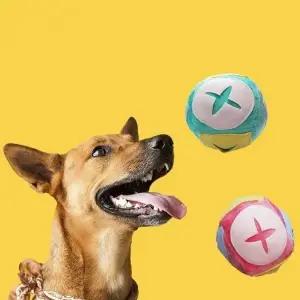 강아지 장난감 간식 노즈 워크 분리 불안 감소 팻토이