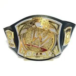 챔피언벨트 시상식 태권도 체육관