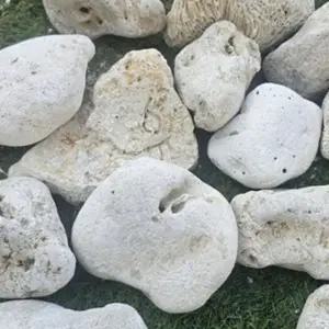 어항 꾸미기 은신처 조형물 수족관 장식 2kg