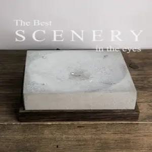 급수기 고양이 물멍 물병 충전 플러그형 두꺼운 거친 그릇 거친면 표면 물그릇