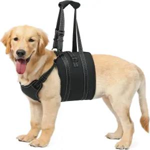 노얄 반려견 트 하네스 슬링 관절염 관절 부상을 입은 노인 위한 조절 가능한 반려동물 캐리어 손톱 다듬기