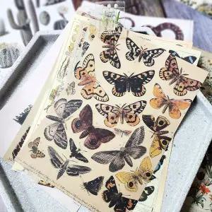 [골드스마일]빈티지 다꾸 촬영용 배경지 사진배경지