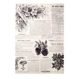 [골드스마일]사진배경지 촬영용 빈티지 배경지 초목