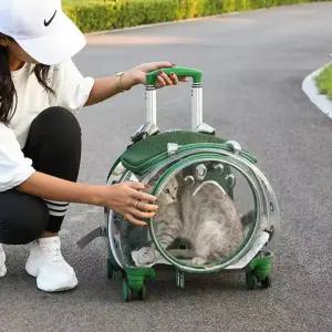 고양이 이동장 투명 케이지 강아지 투명우주선 소형견 켄넬