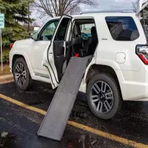 펫스텝 도그 램프 측면 도어 진입 키트 - 그래파이트/그레이