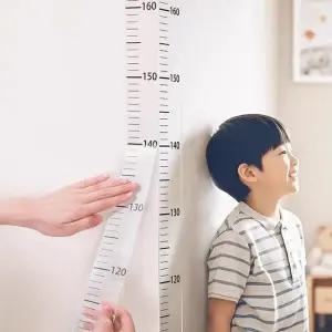 [에스에스_63]키측정 눈금자 키측정시트지 200cm DD-13194