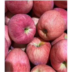 경북청송 꿀 햇 사과 5kg