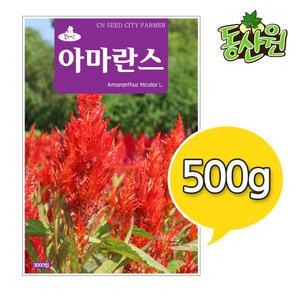 대용량 꽃씨 아마란스씨앗 500g 꽃종자