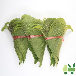 깻잎 (100묶음) 2kg