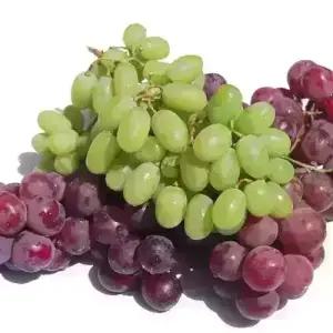 [농협6번] 청포도 크림슨 거봉 사파이어 3kg 선택