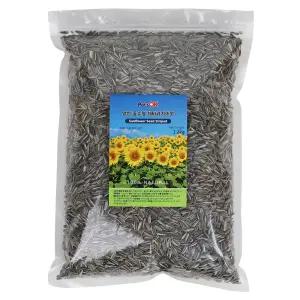 PetsOK 알찬 중소형 해바라기씨 1.2kg 앵무새 햄스터 다람쥐 소동물용