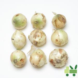 양파 (3등) 17kg 장아찌용