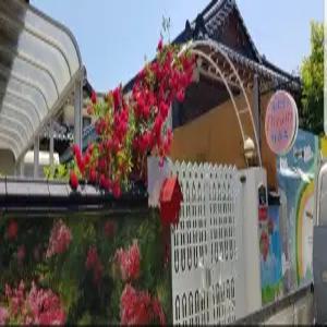 [경북 펜션] 경주 불국사드림하우스펜션 (경주(보문단지,황리단길,불국사,양남,감포,안강))