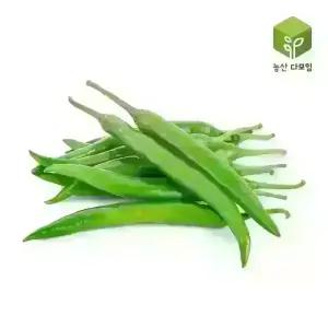 청양고추(특) 10kg