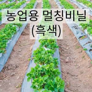 농업용 멀칭비닐 (0.02 X 90cm X 500m)