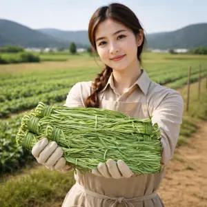 궁채 마른나물 1kg 장아찌 마른줄기상추