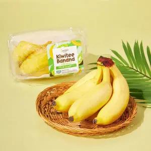 필리핀산 키위티 바나나 400g 팩