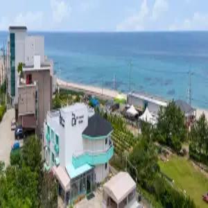 [강원] 강릉 sea멍s애견펜션(강원펜션/강릉펜션)