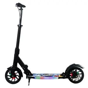 오르고 초등학생 두발 LED 접이식 수동 성인 킥보드