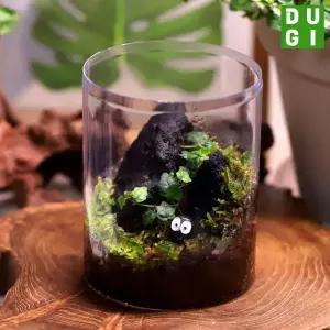 제주애기모람 테라리움 만들기 DIY 키트 긴원형 비단이끼 키우기 비바리움