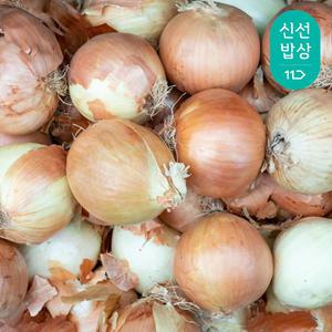 [품질보장] 갓 수확 싱싱한 국내산 햇 양파 중 5kg