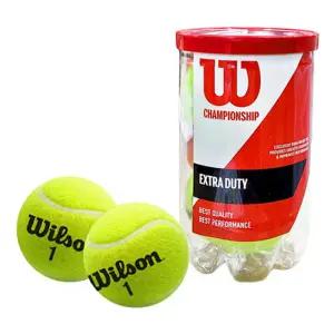 윌슨 테니스공 챔피언쉽 캔볼 2개입