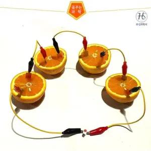 과일전지만들기세트 발광 다이오드