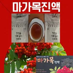 마가보감 프리미엄 마가목진액 마가목열매 마가목나무 가래 기침 해소 _  추출물 1박스 25개