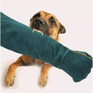 애완동물 물림방지 개 파충류 보호 35cm 장갑 조류 그린 발톱