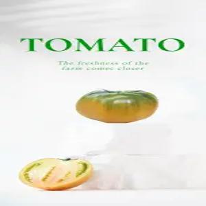 [귤타민] 대저 짭짤한토마토 못난이(랜덤과) / 로얄과(2S~M) 2.5kg내외