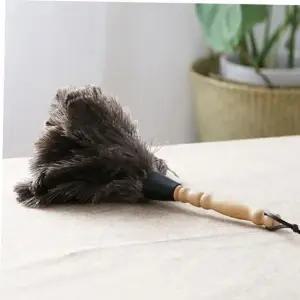 먼지털이개 털이먼지 타조