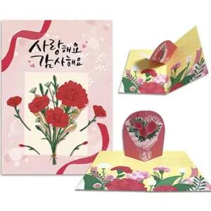 카네이션 가족 카드 1 입체카네이션카드 1 가족 어버이날
