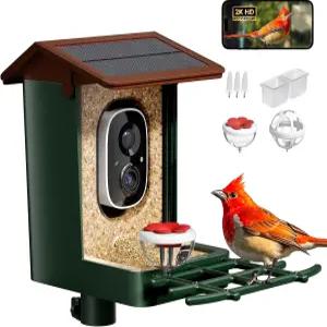 카메라 솔라로 구동되는 2K HD 비디오 10 000종 이상의 AI 인식 실시간 앱 알림 간편한 조류 관찰을 위한