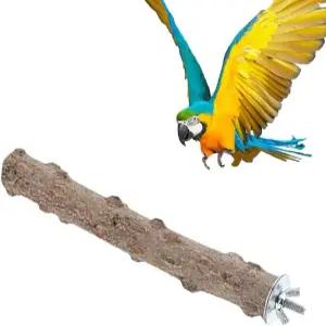 라이트우 우드 퍼치 스틱 내추럴 버드 스탠드 앵무새 발 부리 갈기 코카티엘 코누어 러브버드 버디